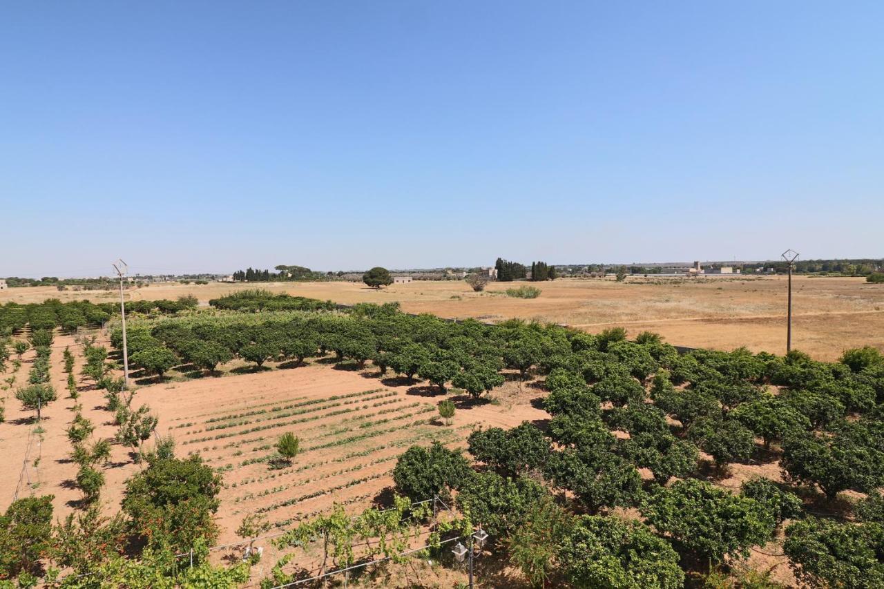 Tenuta Degli Agrumi Carmiano  ภายนอก รูปภาพ