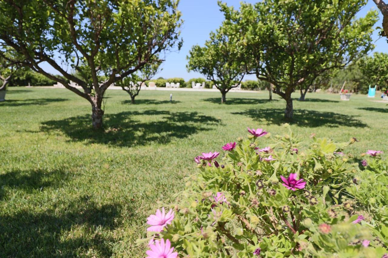 Tenuta Degli Agrumi Carmiano  ภายนอก รูปภาพ